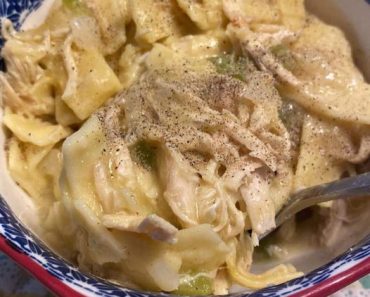 Creamy Rotisserie Chicken and Noodles Recipe