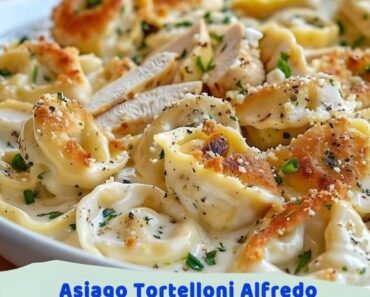 Asiago Tortelloni Alfredo with Grilled Chicken