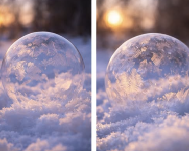 Frozen Bubbles.26 Frozen Bubbles.26