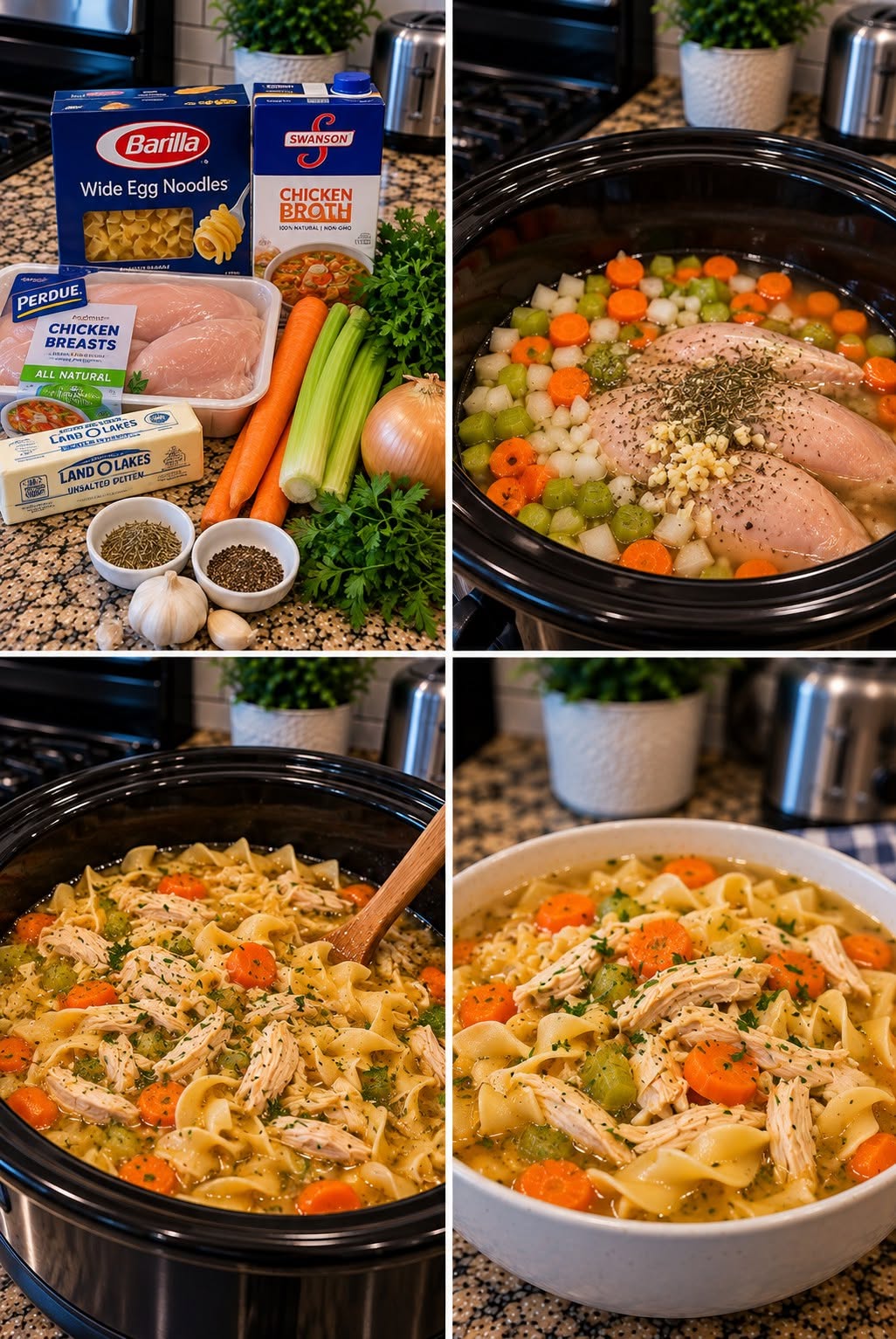 Chicken Noodle Soup.26